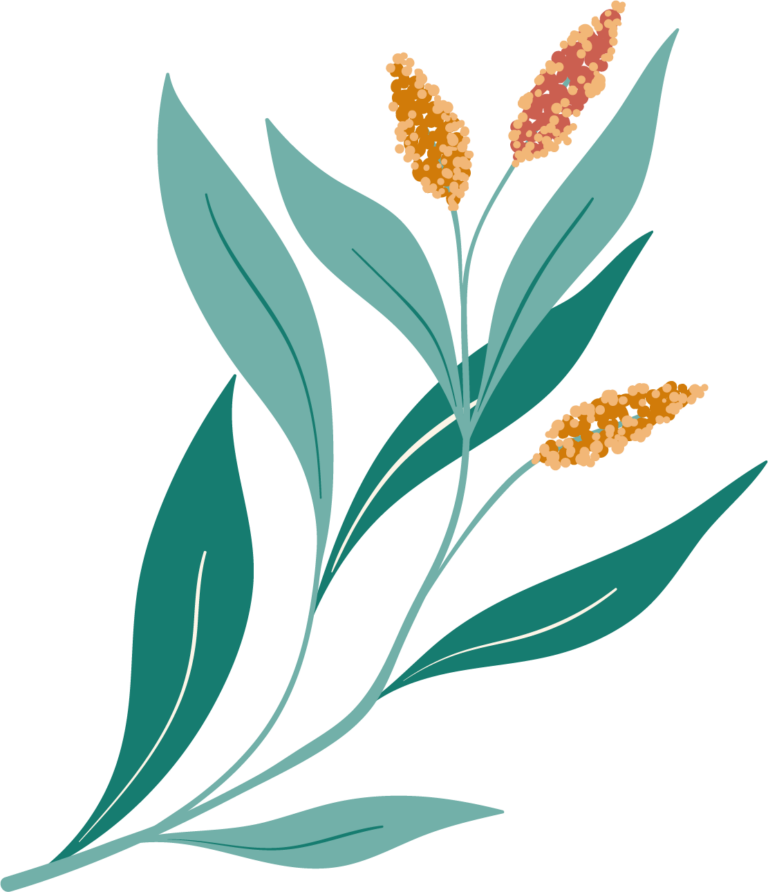 Valleywise Health Foundation Names 2024 A Night in the Valley CoChairs