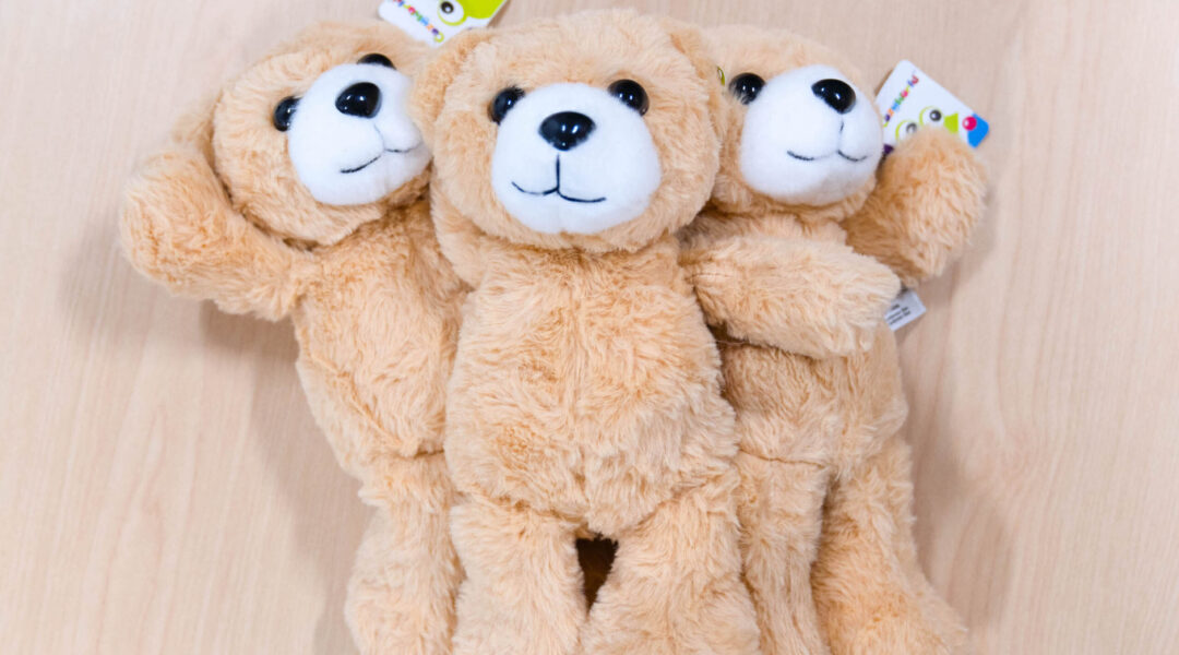 Heartbeat Bears Valleywise Health