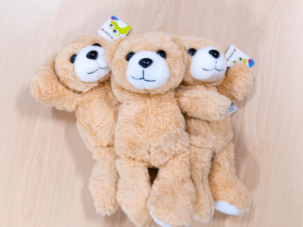 Heartbeat Bears Valleywise Health