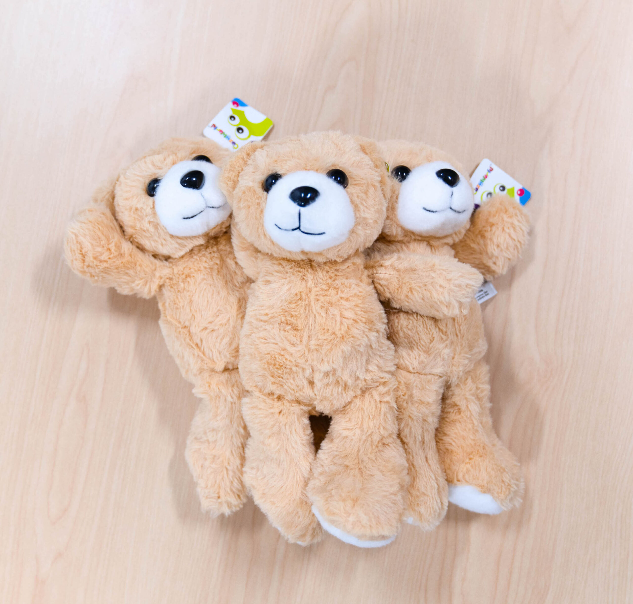 Heartbeat Bears Valleywise Health