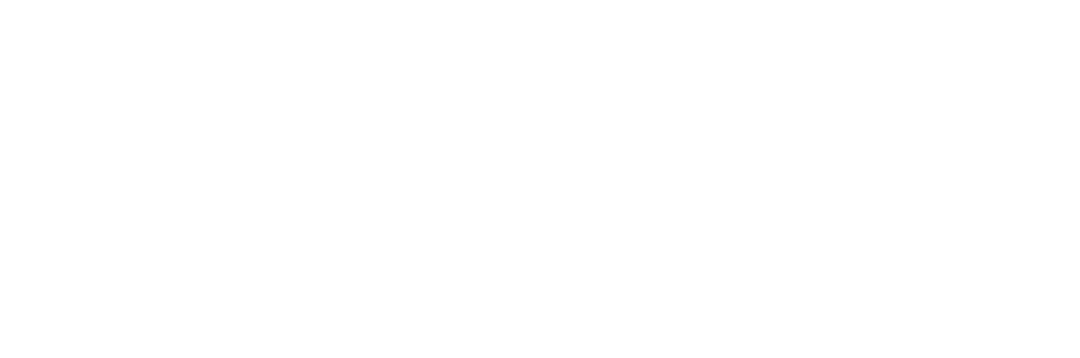 Valleywise 1877 Society
